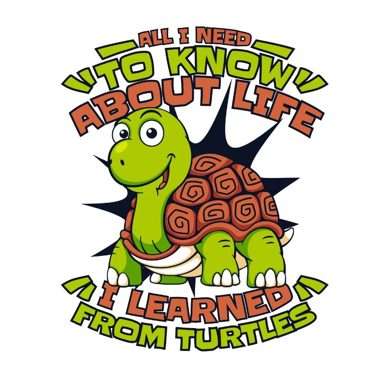 I learned from turtles tortoise turtle