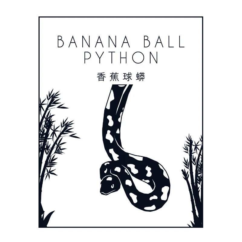 Banana Ball Python Chinese Hanzi Schlange Banana