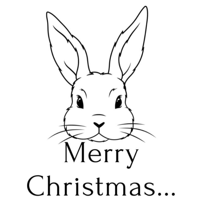 Lapin de Noël / Noël