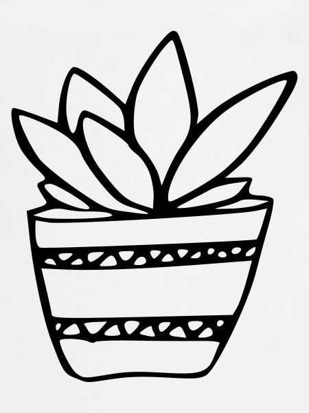 Plante