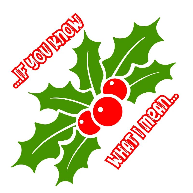 Drôle de gui de Noël