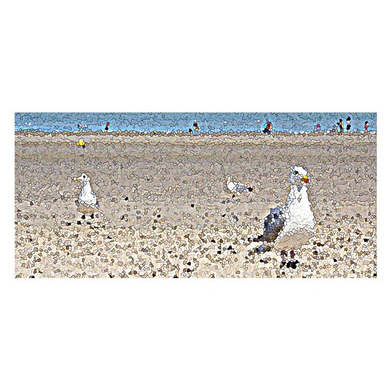 Les goélands à la plage