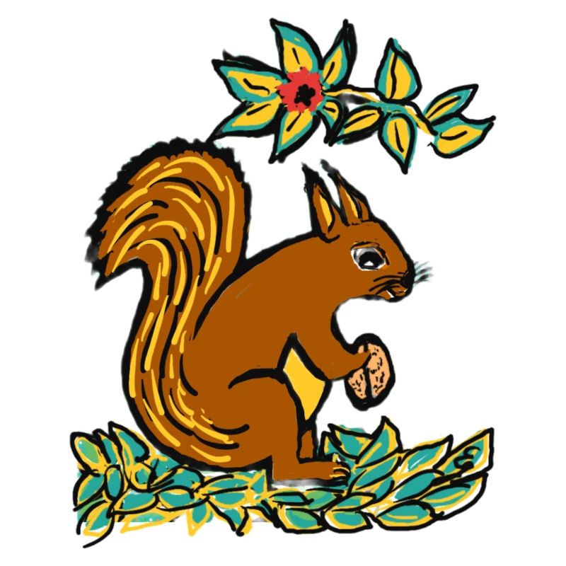 EG Eichhörnchen I Tier I Urlaub I Geschenk