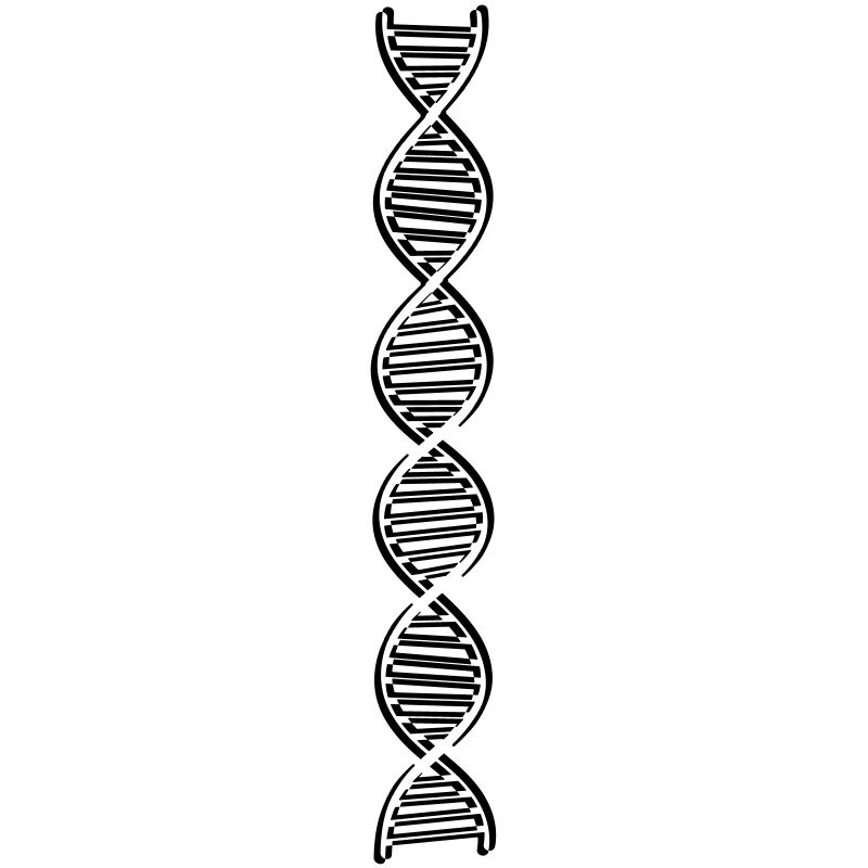 research dna dns genome gene science knowledge c
