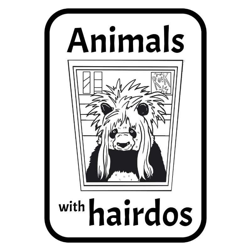 Panda avec coiffure