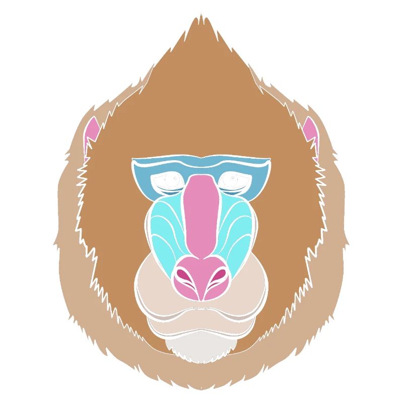 Baboon Baboon Primate Monkey Monkey