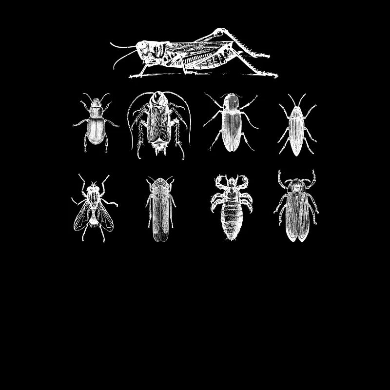 Bugs Insects