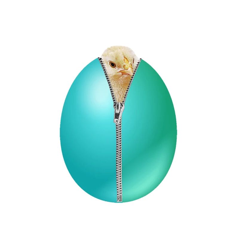 Chick Zip Easter Egg cadeau
