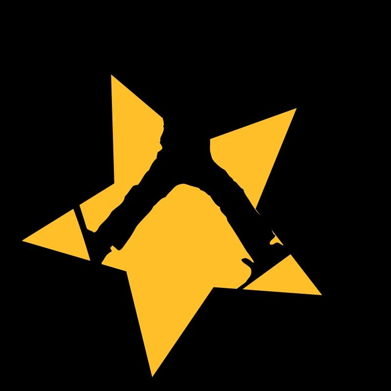 ski jump star