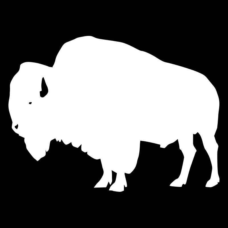 Bison