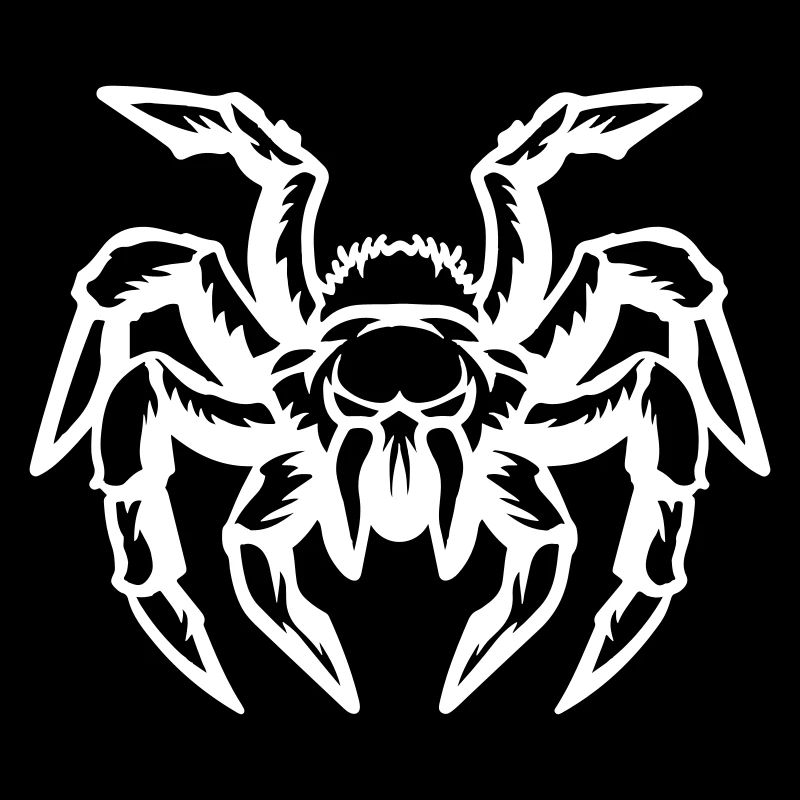 spider