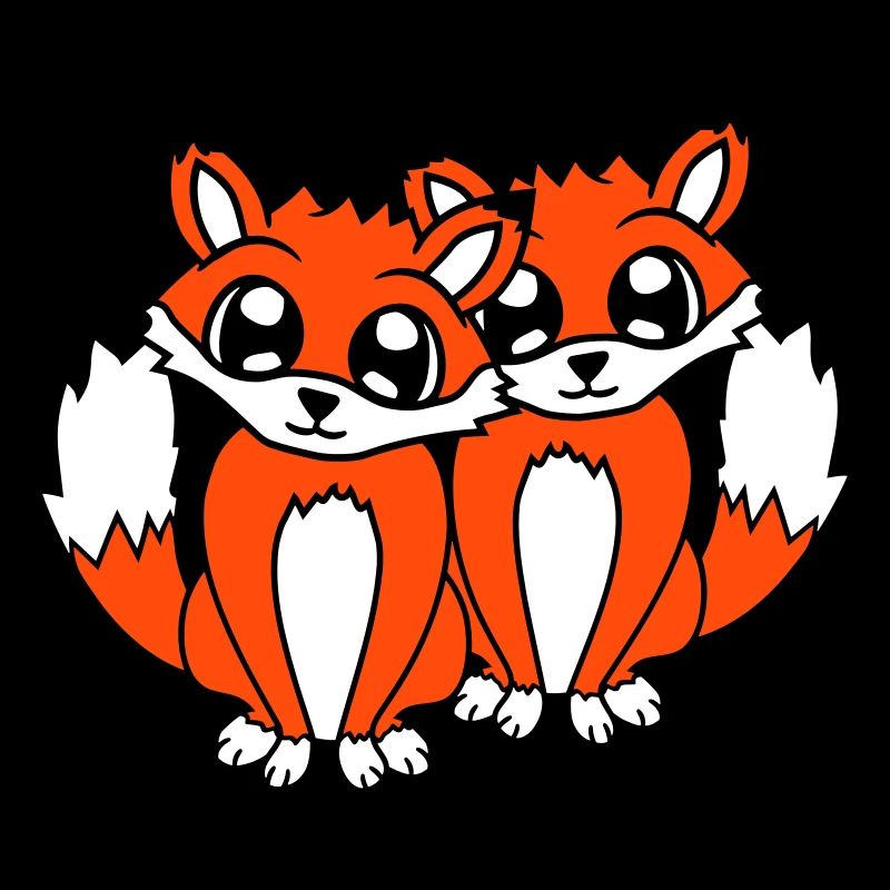 2 Amis Renards Roux Renard Deux Animaux Sauvages Équipe