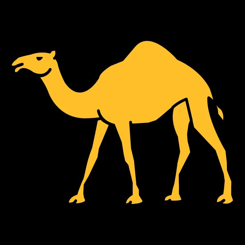 kamel_02