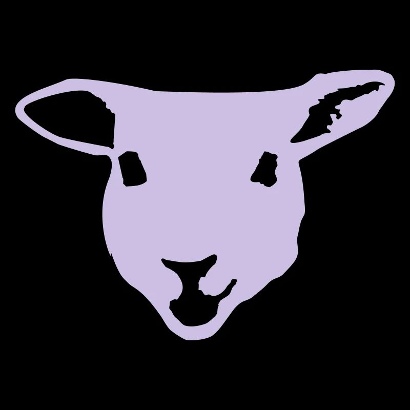 sheep, lamb