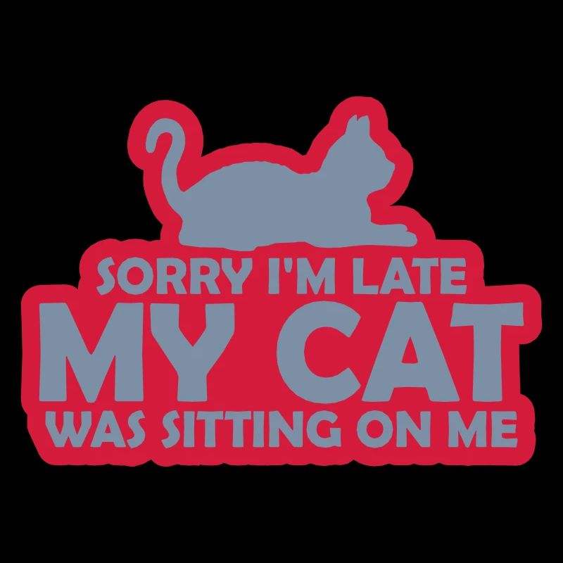 désolé chat était assis