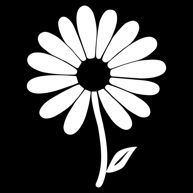 Gänseblümchen Grace