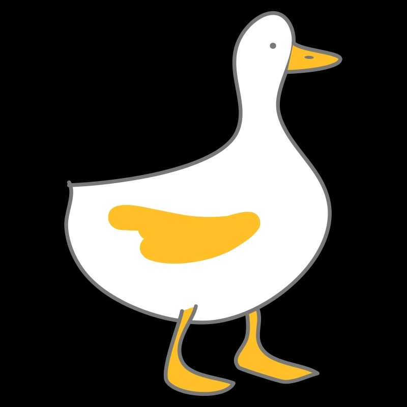 Canard 4