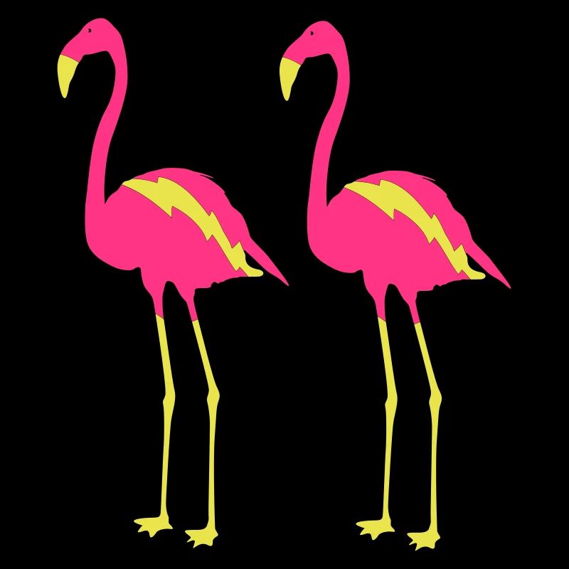 Flamingos 2