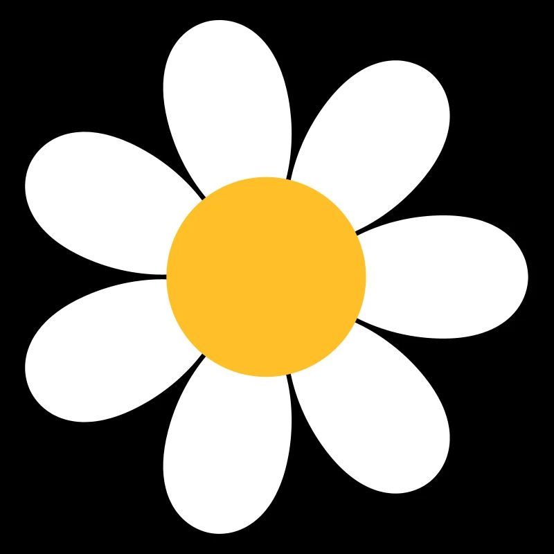 Gänseblümchen Blume