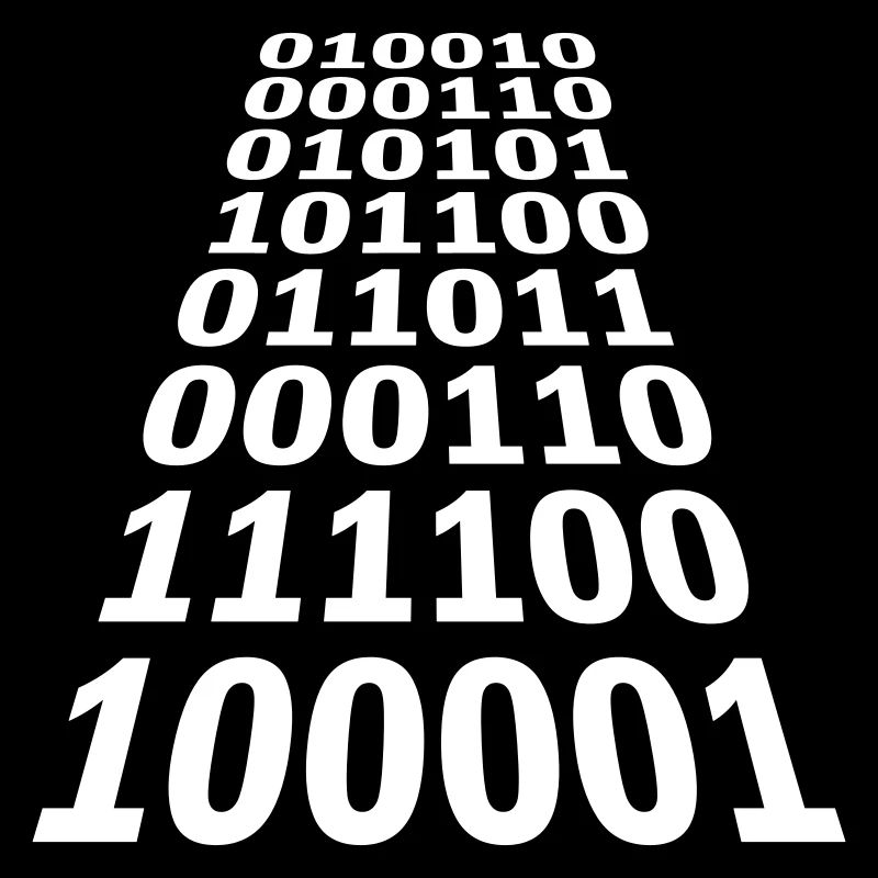 Binary Code Program Language