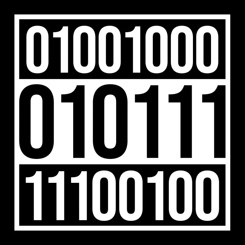 Binary Code Program Language