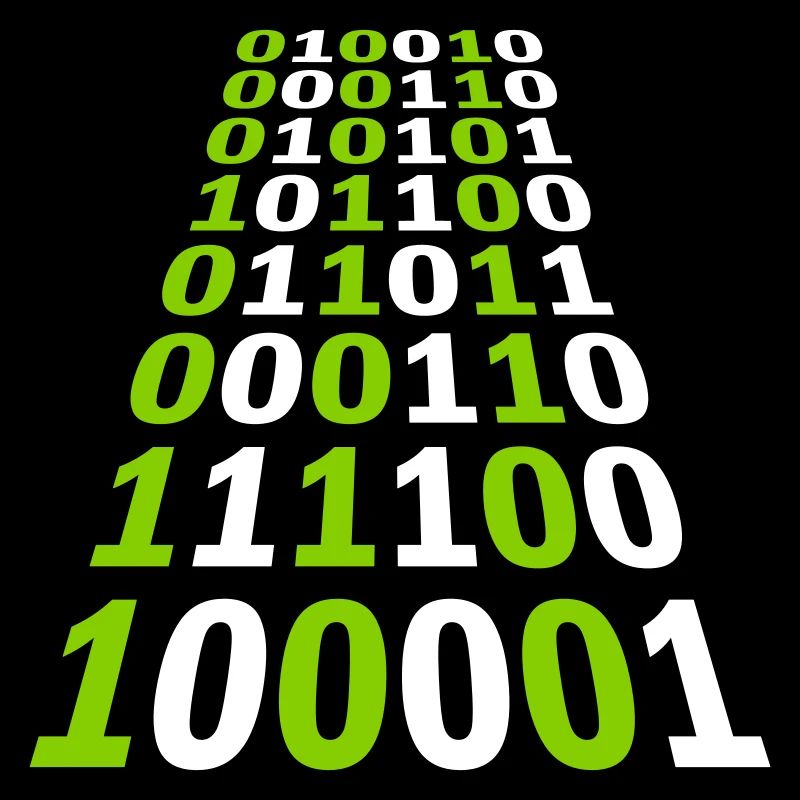 Binary Code Program Language