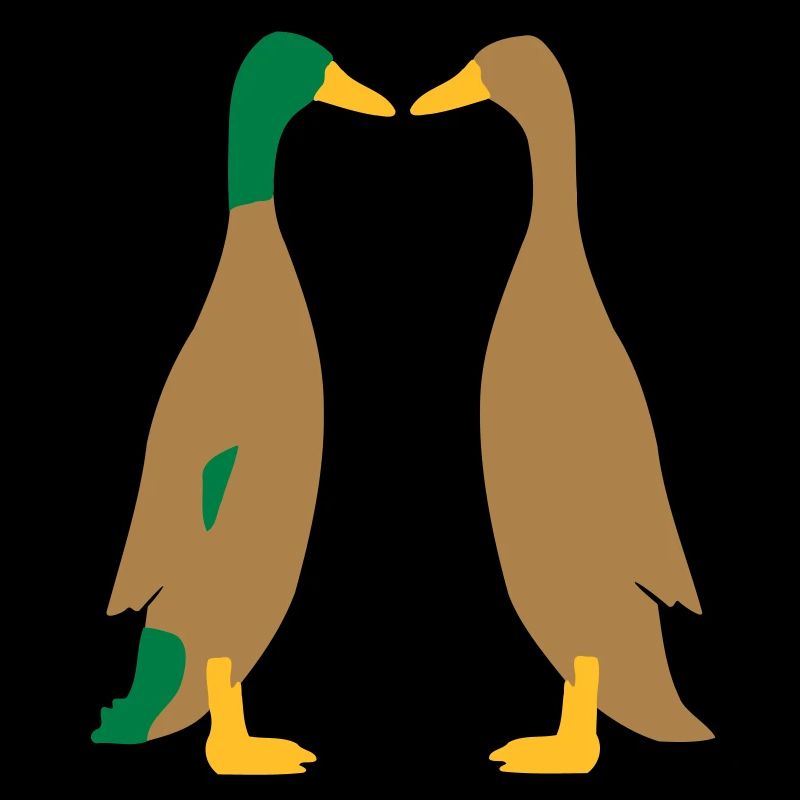 Canard