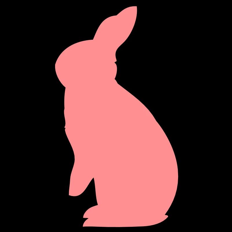 Rex rabbit rabbit bunny breed long-eared rodents