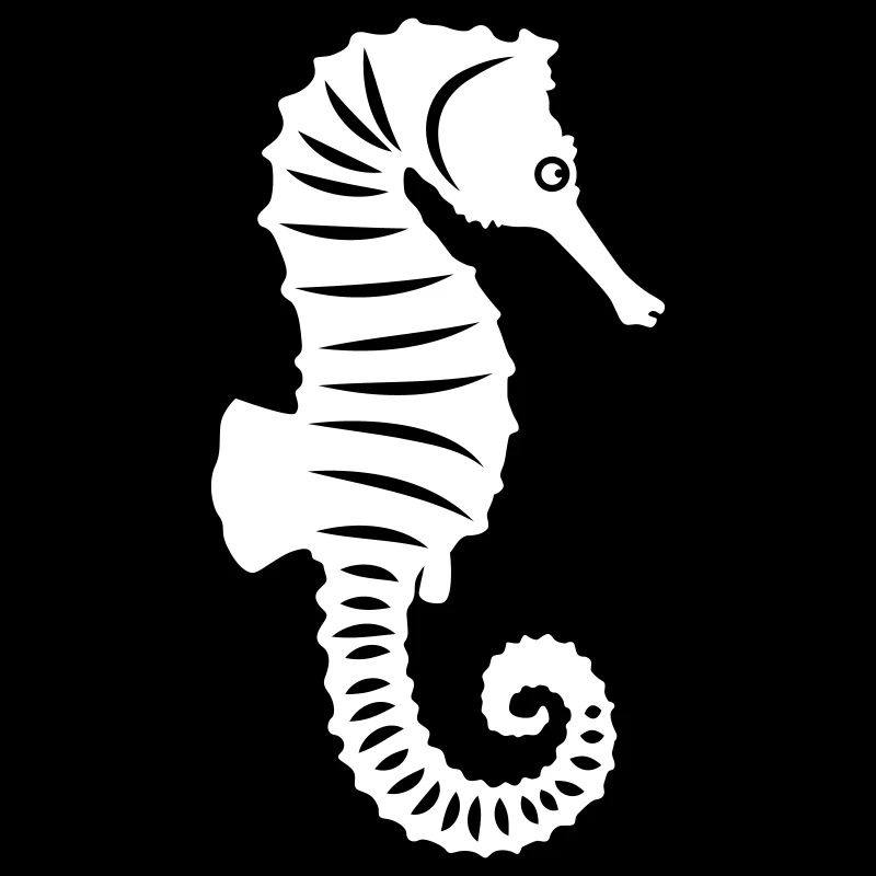 Hippocampe