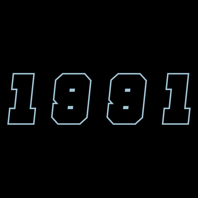 1991 Year Number