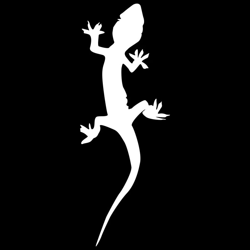 Gecko Lizard