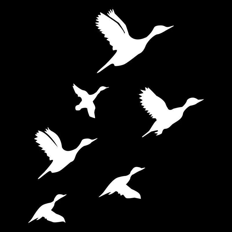 Flying Ducks