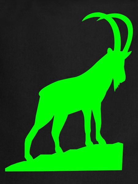 Capricorne