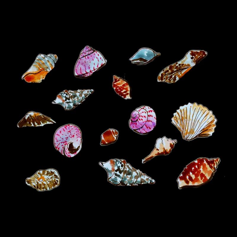 Colourful Seashells Marine Pattern