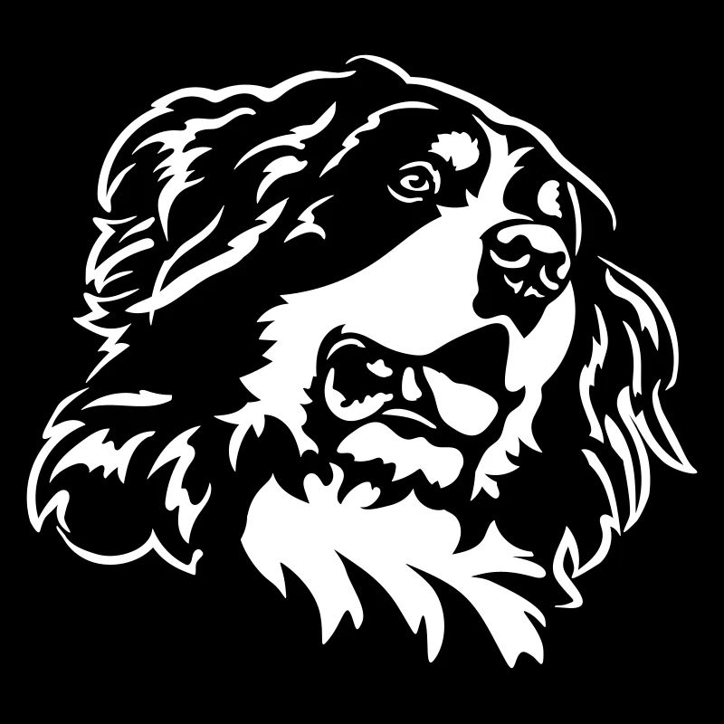 Tête de Bouvier Bernois « Black Edition »