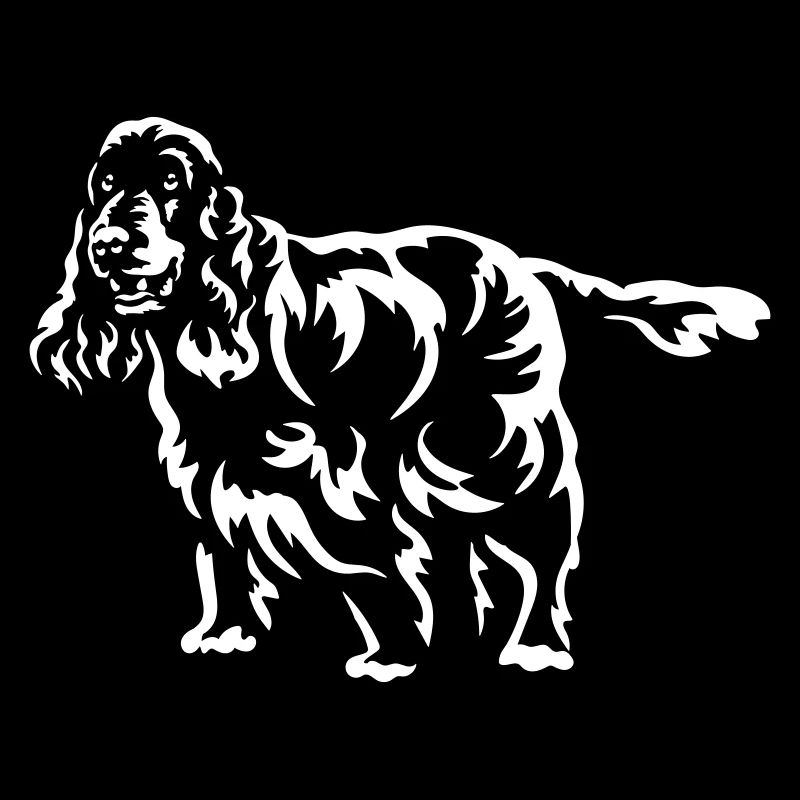 Cocker Spaniel