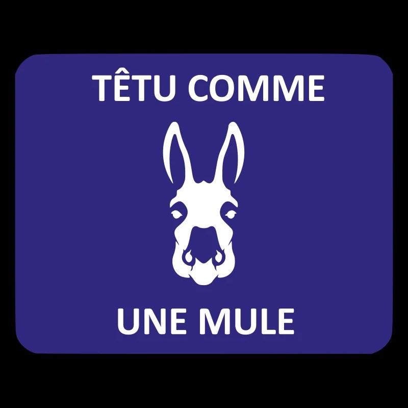 Têtu comme une mule