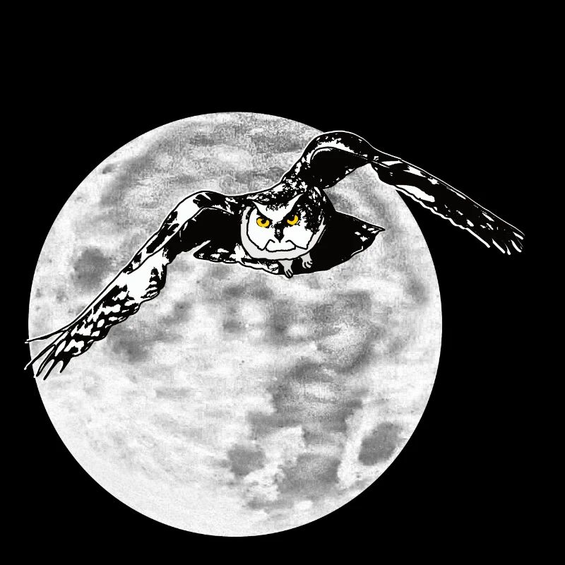 Hibou devant la lune