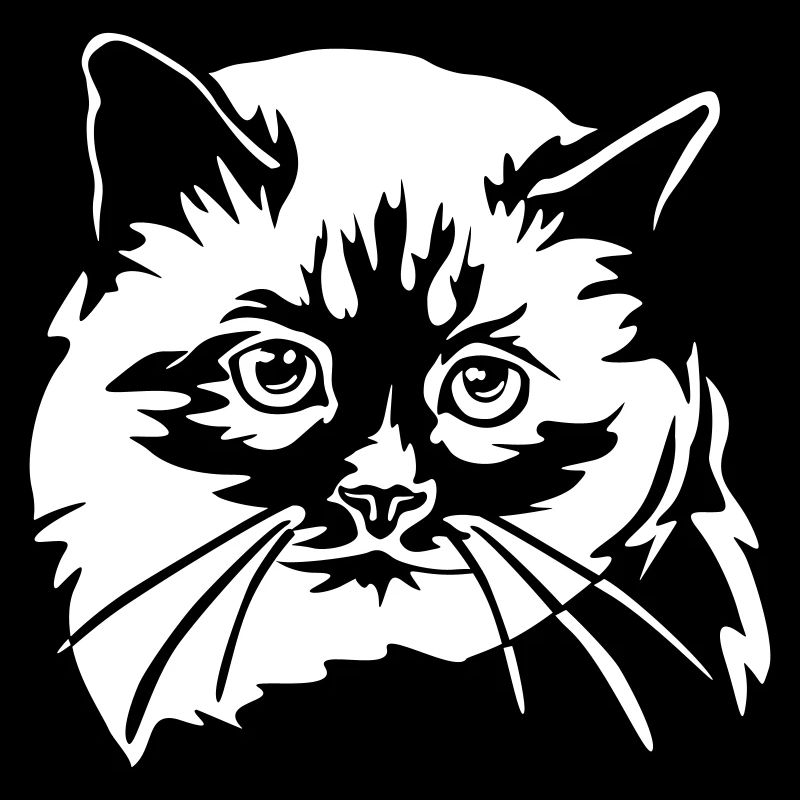 Birman Cat "Black Edition"