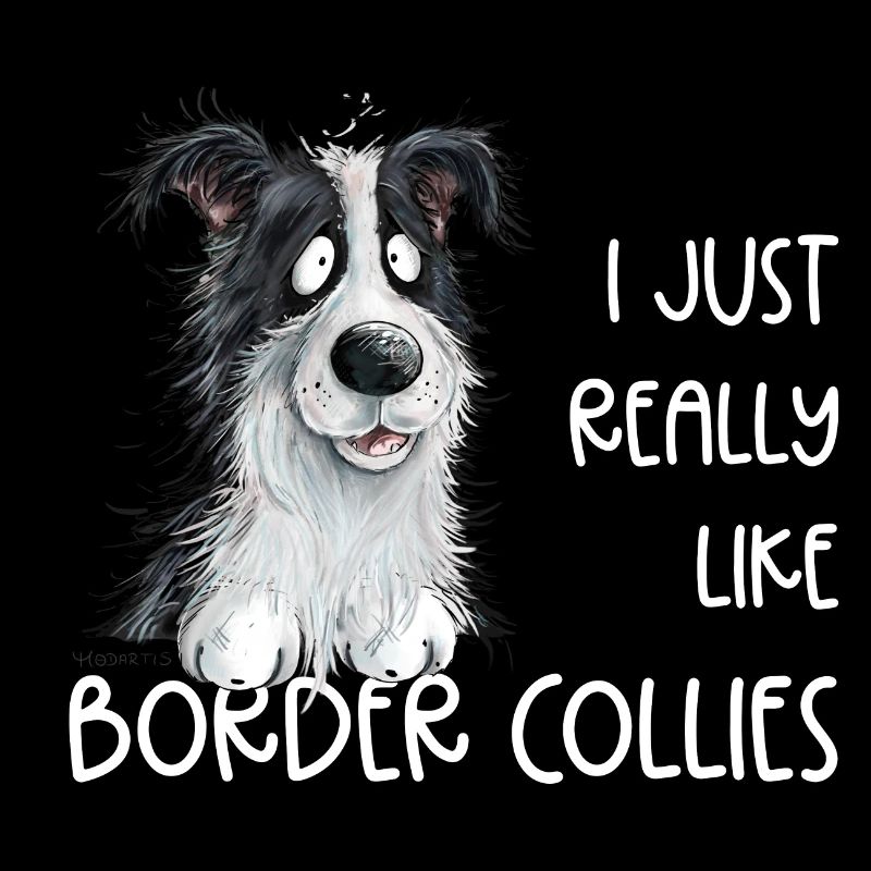 Droll border collie chien dicton
