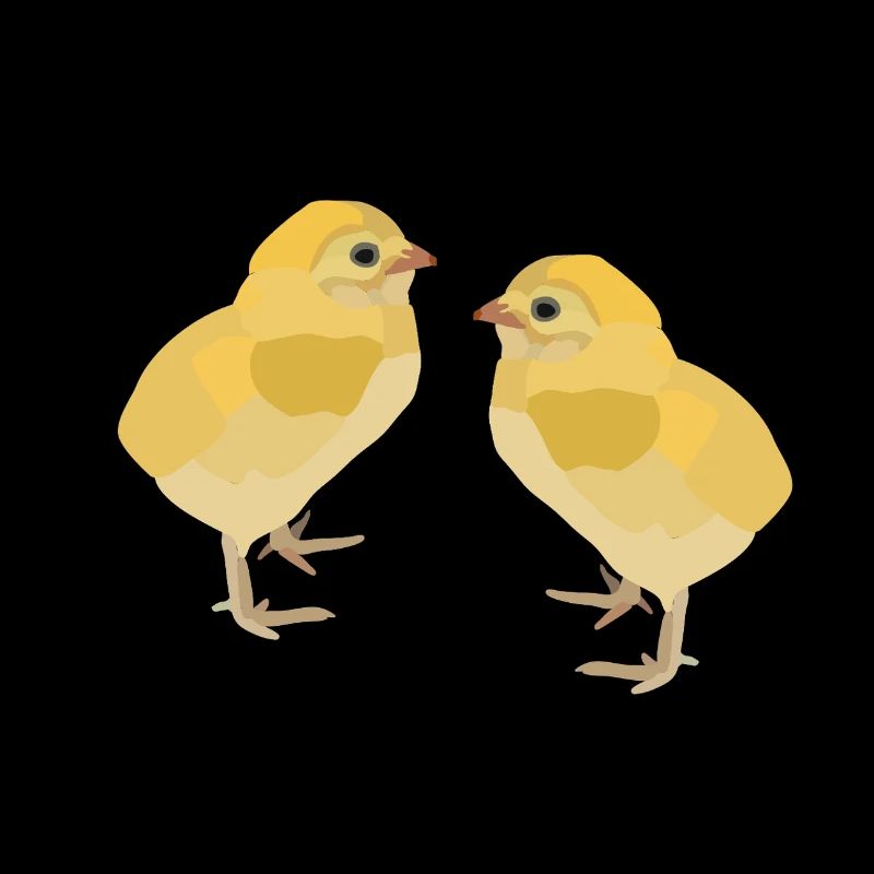 Kiki et Koko, les poussins