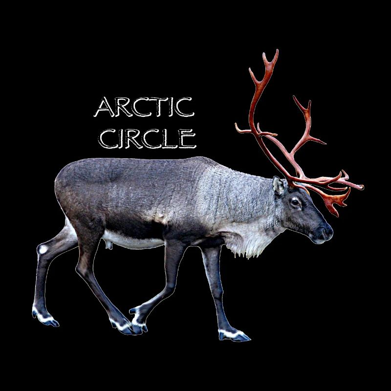 Arctic Circle