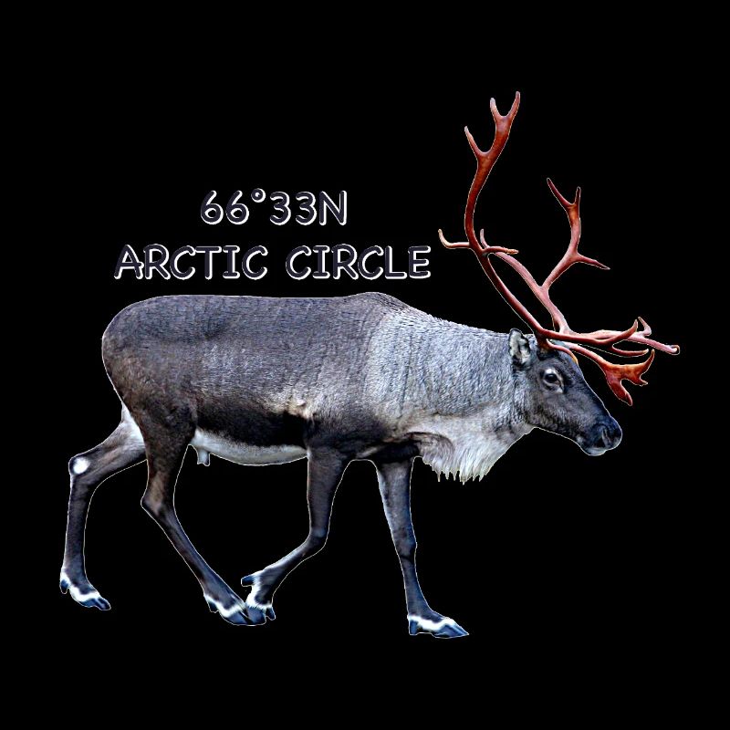 Arctic Circle