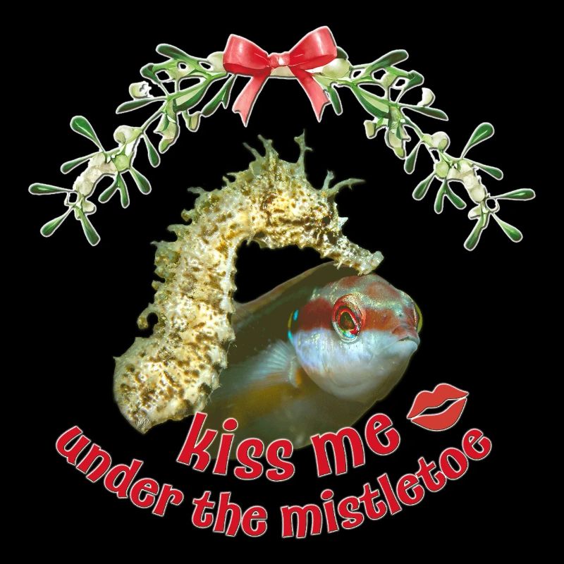 Baiser de gui – Salutations de Noël en mer