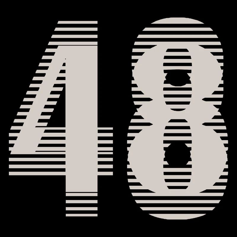 Numéro de course 48 – Passion du sport automobile