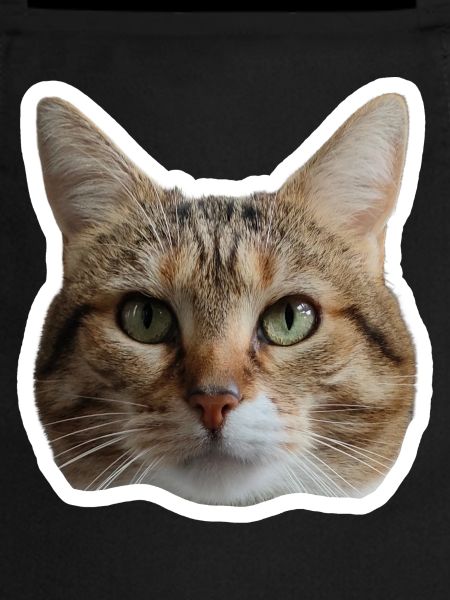 Sticker Missty