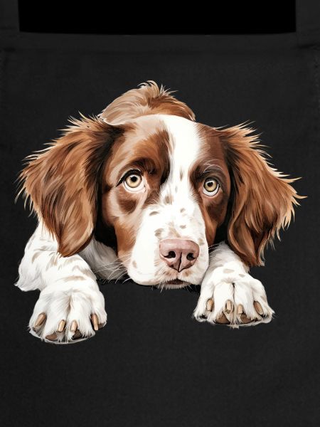 Brittany Dog