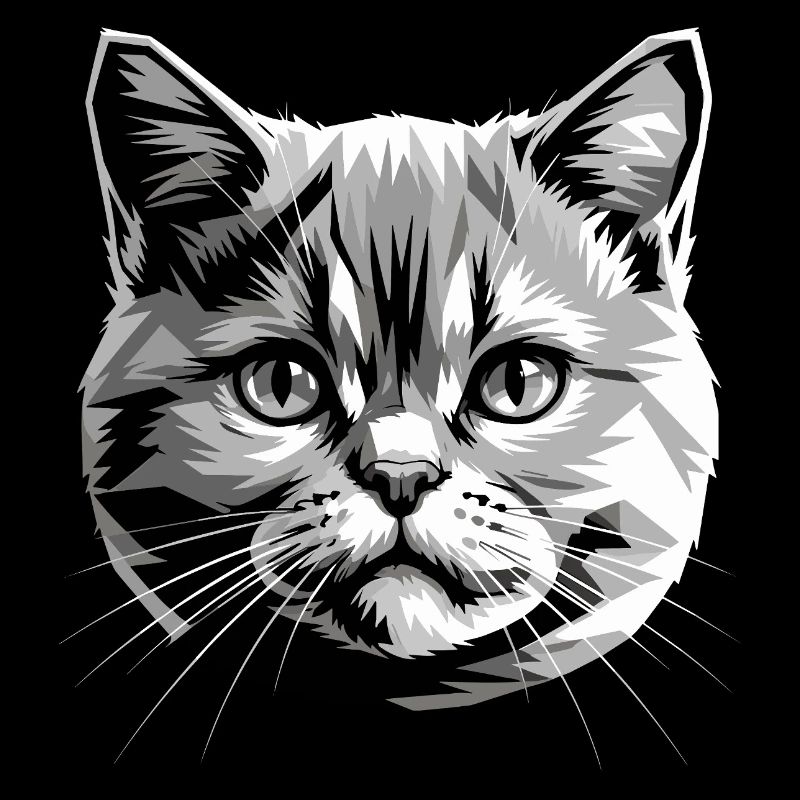 British Shorthair Chat BKH Chat Maman Chats Mignons