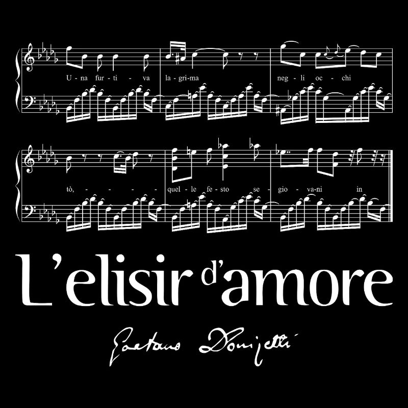 L'elisir d'amore 2