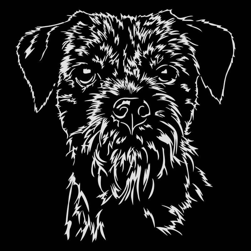 BORDER TERRIER Portrait DeVils chien Chien